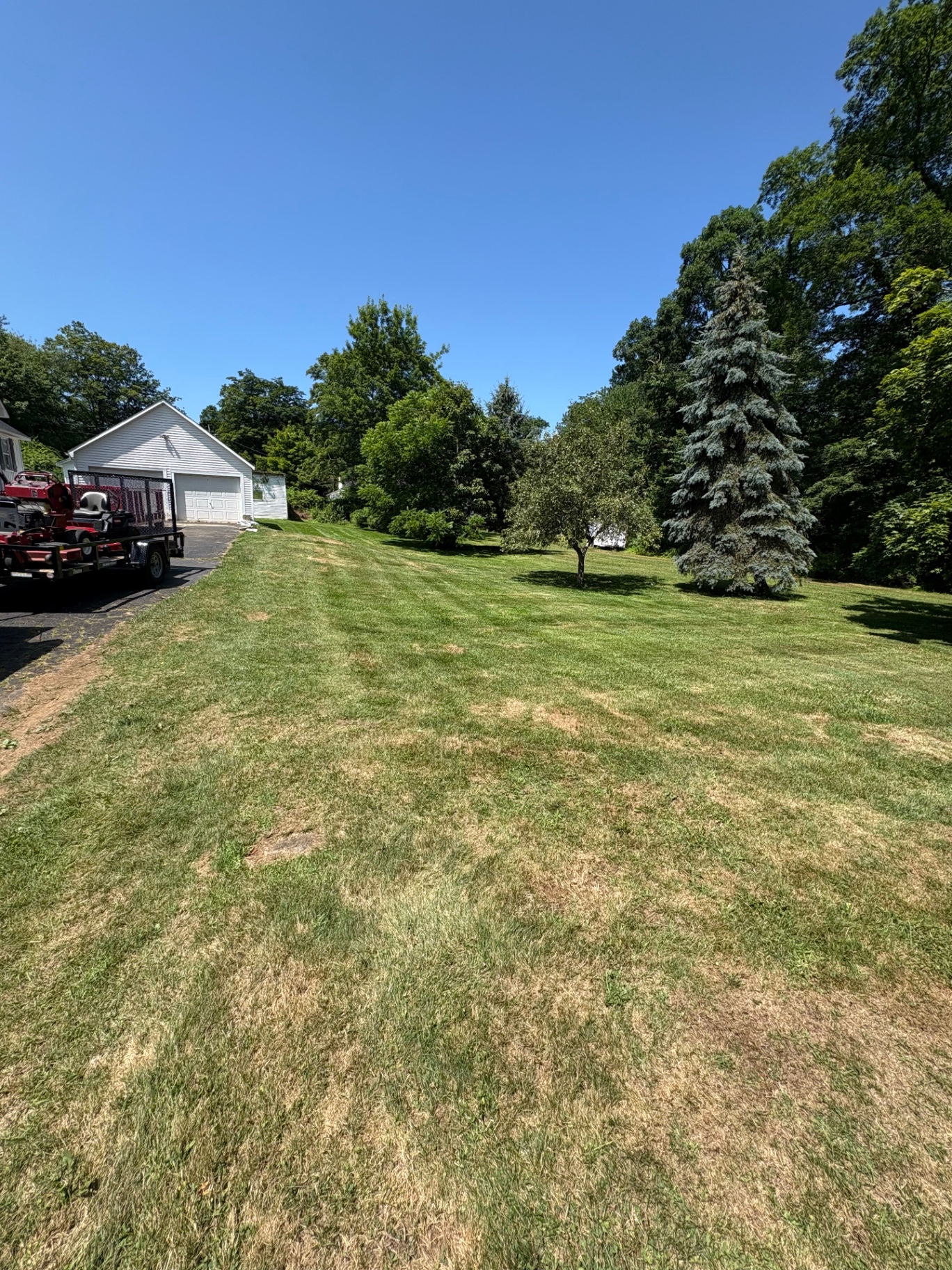 Fresh lawn maintenance work by Esteban Landscaping